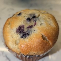 Sugar Bakery - Blueberry muffin for the morning. We are the blueberry pie already
