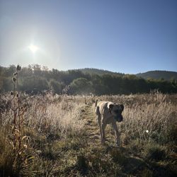 Deer Creek Park