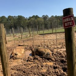 Dauset Trails Nature Center