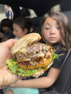 The Mallard Drake by null