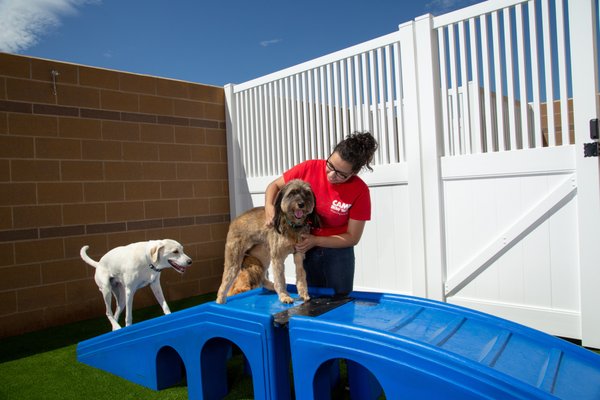 Camp Bow Wow South Salt Lake 37 Photos 127 Reviews Pet Sitting 475 W 3600th S Salt Lake City Ut Phone Number