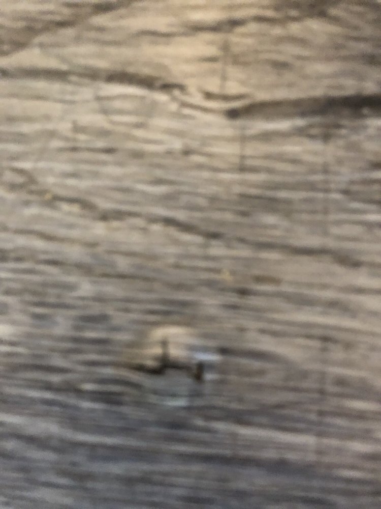 Slide of First Class Construction Services