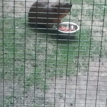 Zoo Boise - Zoos Near Me - Boise, Idaho