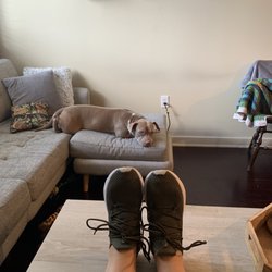 Dirt Cheap - New shoes who dis?