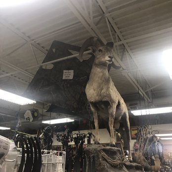 Archery Shoppe - Archery Near Me - Albuquerque, New Mexico