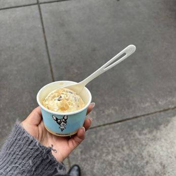 Molly Moon's - Yeti - Ice Cream & Frozen Yogurt Near Me - Seattle, Washington