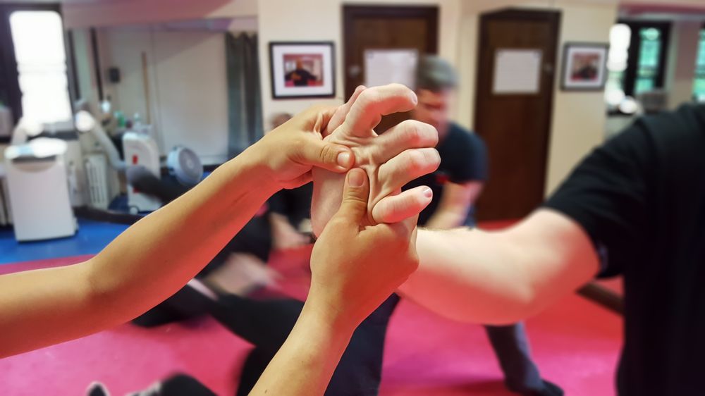 BUJINKAN NEW YORK DOJO Updated September 2024 17 Photos 101