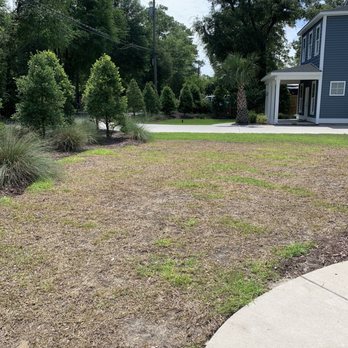Fishwater Landscaping - Front yard 5/28/2020 - Lawn Services Near Me - Wilmington, North Carolina Fishwater Landscaping - Front yard 5/28/2020 - Lawn Services Near Me - Wilmington, North Carolina