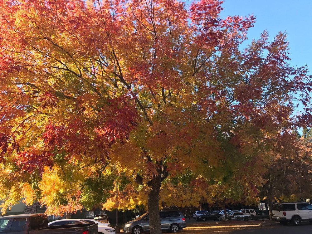 POTTER’S HOUSE THE CHURCH OF GOD IN CHRIST Updated October 2024