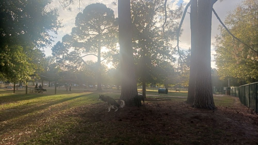 Greenville Off-Leash Dog Area Park