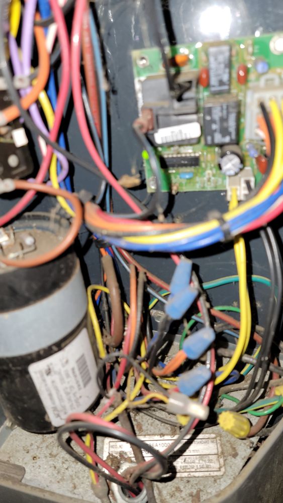 Slide of Jenalia Mechanical