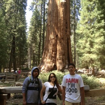 General Sherman Tree - Saturday, August 10, 2013 - Hiking Near Me - Sequoia National Park, California General Sherman Tree - Saturday, August 10, 2013 - Hiking Near Me - Sequoia National Park, California