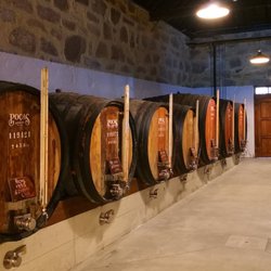 Poças Júnior - Our Wine Cellar