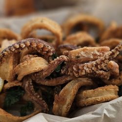 The Birds Cafe - Calamari.  Big rings . Very chewy