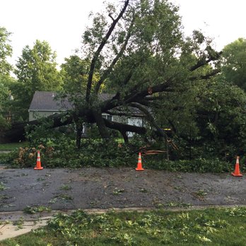 Metro Tree Service - Big Oak blown over from heavy winds and rain. July 2017 - Tree Services Near Me Metro Tree Service - Big Oak blown over from heavy winds and rain. July 2017 - Tree Services Near Me