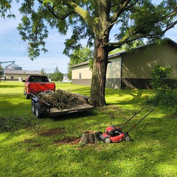 Luke's Handy Services - Cut up and removed fallen tree in a back yard - Snow Removal Near Me - West Concord, Minnesota Luke's Handy Services - Cut up and removed fallen tree in a back yard - Snow Removal Near Me - West Concord, Minnesota