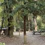 Dark Day Camp Ground