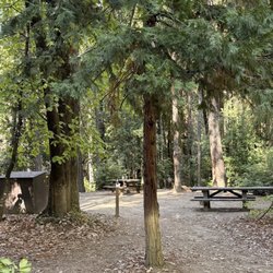 Dark Day Camp Ground
