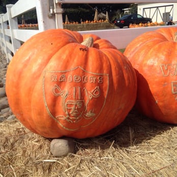 Borchard Farms - Pumpkin Patches Near Me - Salinas, California