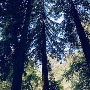 Tilden Regional Park - Parks Near Me - Berkeley, California