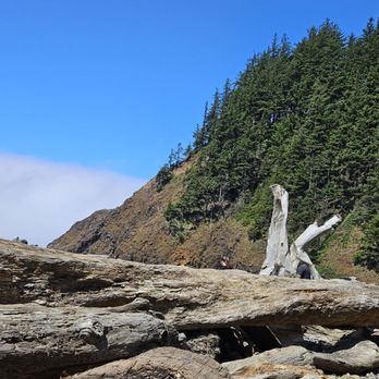 Infinite Oregon Tours - Ecola State Park - Historical Tours Near Me Infinite Oregon Tours - Ecola State Park - Historical Tours Near Me