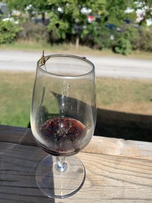 Black Prince Winery & Canadian Vinegar Cellars featuring Barrel House Wood-Fired Pizza + County Disc Golf by null