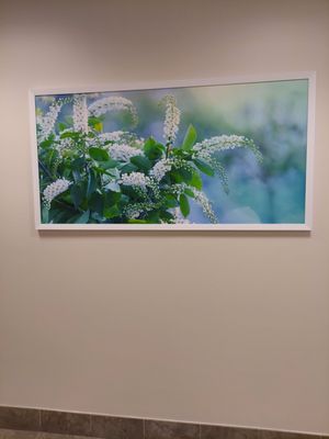 Detailed Eye Physicians Of Central Florida Maitland Abstract in HD Detailed Eye Physicians Of Central Florida Maitland Abstract in HD