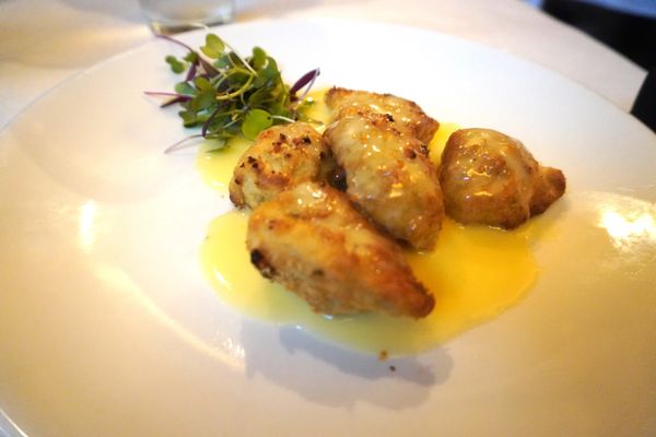 D'Agnese's at White Pond Akron by null