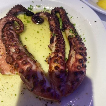 Hellas Restaurant - Octopus - Bakeries Near Me - Tarpon Springs, Florida Hellas Restaurant - Octopus - Bakeries Near Me - Tarpon Springs, Florida