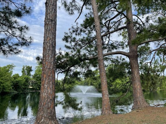 Audubon Park Loop by null