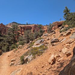 Red Canyon Visitor Center - Hiking trails
