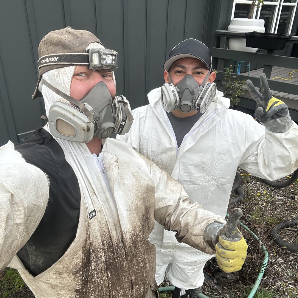 TOP 10 BEST Rodent Proofing in Solano County, CA - Updated 2026 - Yelp