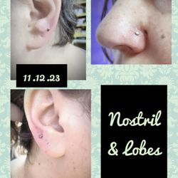 White Wizard Tattoo & Piercing - Nostril and lobes piercings by apprentice Shelby