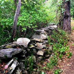 George V Vanderbilt Park - Greenville Town Park
