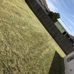 Green Guy Lawn Service