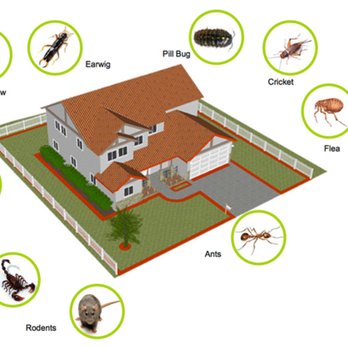 Alpine Pest Management - Pest Control Near Me - Wenatchee, Washington