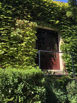 Quinta de Covela by null