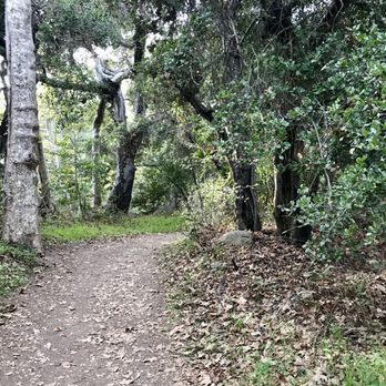 San Antonio Creek Trail - Along the trail, fall 2021 - Hiking Near Me San Antonio Creek Trail - Along the trail, fall 2021 - Hiking Near Me