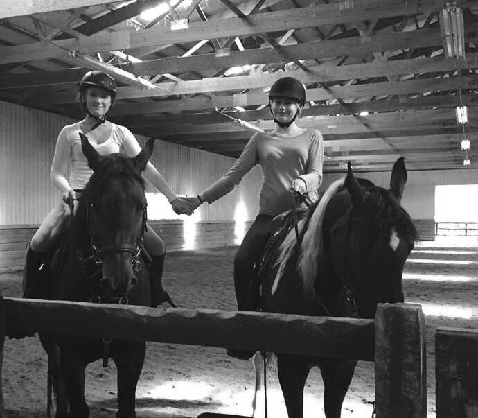 Wild Flower Arabians - equestrian in Hampshire, IL