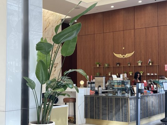 Intelligentsia Coffee Post Office Square Coffeebar by null