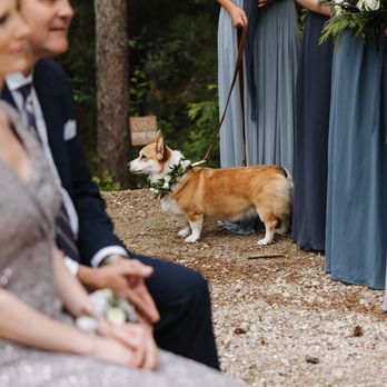 Doggy Social MN - Event Planning & Services Near Me