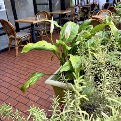 La Provence Patisserie & Cafe