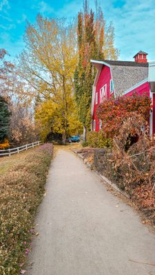 The Berry Barn by null