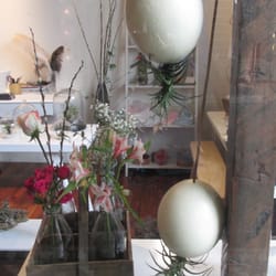 Factoría de Flores - Huevos de Avestruz con Plantas Colgantes