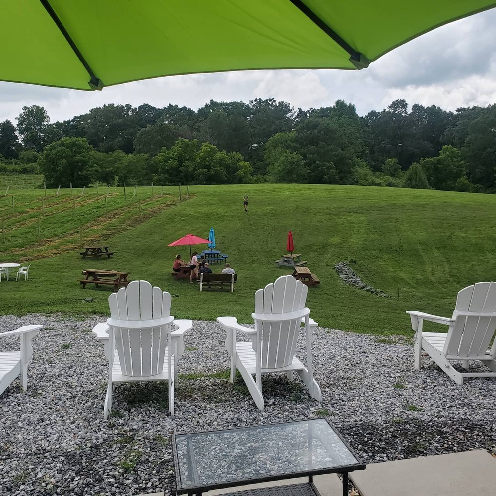 Grapes and Ladders Winery, Ellijay Roadtrippers
