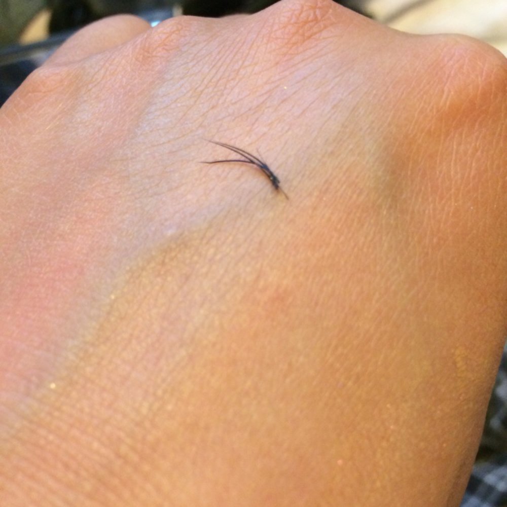 House of ILashes - Lashes fallin out in clumps! No thank you. - Eyelash Service Near Me - Renton, Washington