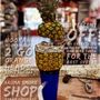 Photo of Aroma Smoke Shop