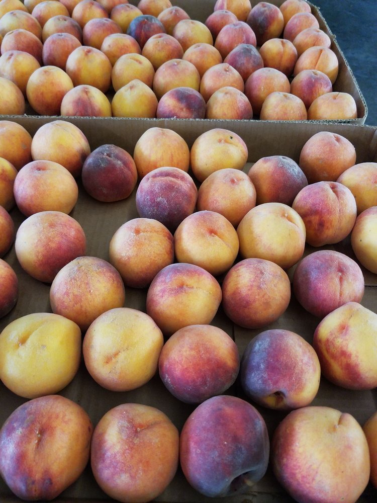 WELLS NURSERY & GREENHOUSES 3710 W US Hwy 40, Greenfield, Indiana