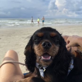 Porretto Beach - Beaches Near Me - Galveston, Texas Porretto Beach - Beaches Near Me - Galveston, Texas
