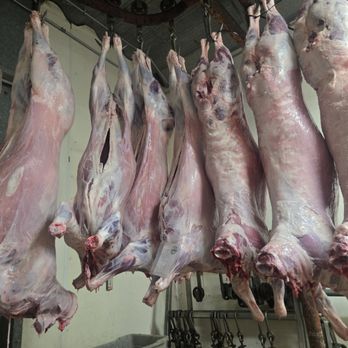 Valencia Ranch Butchering - Butcher Near Me - Atwater, California Valencia Ranch Butchering - Butcher Near Me - Atwater, California
